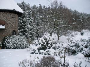 Hotel Tannenhof v zimě