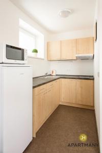 Dapur atau dapur kecil di Apartmány Jindřichův Hradec