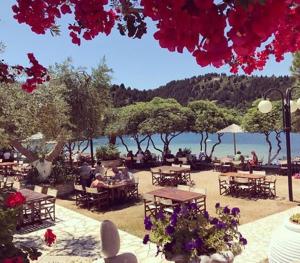 a group of people sitting at tables near the water at Paxos Bay Studios in Gaios