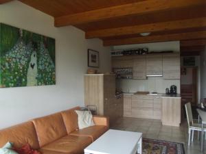 een woonkamer met een bank en een keuken bij Apartmán Lipno A12 in Lipno nad Vltavou