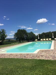 a swimming pool in the middle of a grassy field at Casale di Romealla in Orvieto