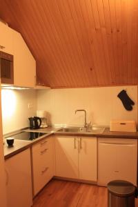 a kitchen with a sink and a counter top at Apartment Pogled in Skrad