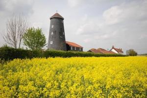 Fotografie z fotogalerie ubytování Yaxham Mill v destinaci East Dereham