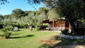 une petite maison dans une cour avec un arbre dans l'établissement Agriturismo Massaro Pietro, à Otrante