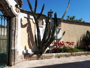 Fotografie z fotogalerie ubytování Villa Teseo v destinaci Alezio