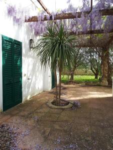 Zahrada ubytování Villa Teseo