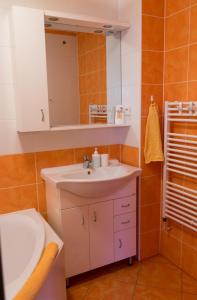 W łazience znajduje się umywalka i lustro. w obiekcie Relax na Morave w mieście Němčičky