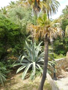 A garden outside Appartamento Bordighera