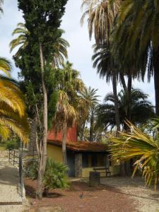 A garden outside Appartamento Bordighera