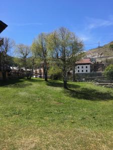 due alberi in un campo con un edificio sullo sfondo di Maison De Pitti a La Thuile