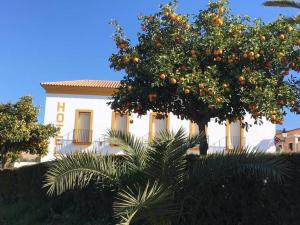 Ogród w obiekcie Hotel Andalou