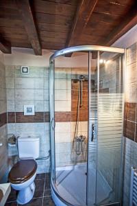 La salle de bains est pourvue de toilettes et d'une douche en verre. dans l'établissement Ihnilatis, à Kerkíni