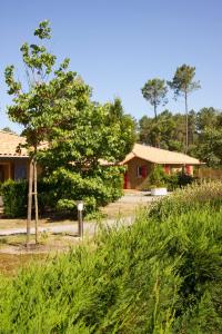 a garden with a house and a tree at Village Vacances Le Lac Marin in Soustons