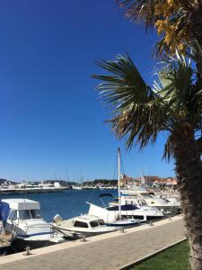 Naturlandskabet i nærheden af lejligheden