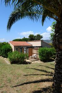 a house with a palm tree in front of it at Village Vacances La Manne in Bormes-les-Mimosas +6 photos