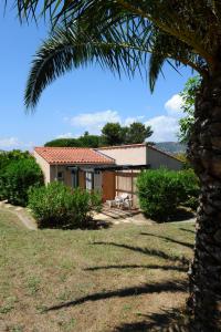 a house with a palm tree in front of it at Village Vacances La Manne in Bormes-les-Mimosas