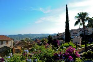 een uitzicht op een stad met een palmboom en bloemen bij Village Vacances La Manne in Bormes-les-Mimosas