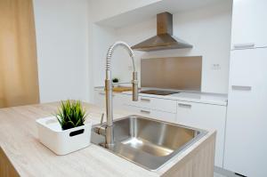 Kuchyňa alebo kuchynka v ubytovaní Besker Apartment