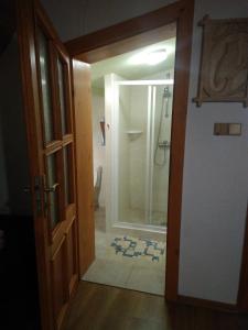 an open door to a bathroom with a shower at Apartmán Belko in Hrádek