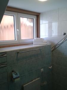 a bathroom with a shower and two windows at Apartma Zo-Vi Bled in Bled +15 photos