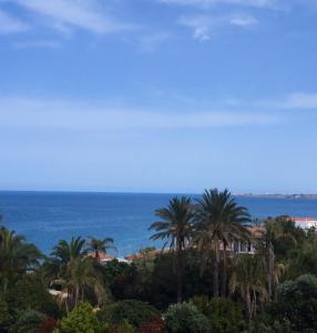 uma vista para o oceano e palmeiras em Il Grecale case vacanza em Crotone