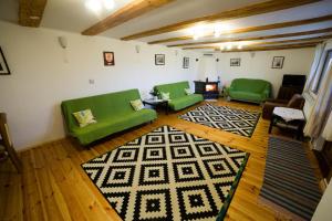 a living room with two green couches and a rug at Casa Hille in Măgura
