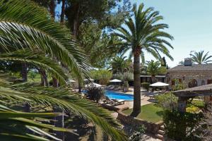 uma vista para um resort com uma piscina e palmeiras em Agroturismo Sa Pletassa em Felanitx