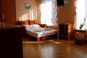 salon z kanapą przed oknem w obiekcie Apartamenty Klemens w mieście Puck