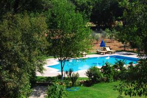 a swimming pool with a table and a chair in a yard at Doga Apartments in Kayakoy