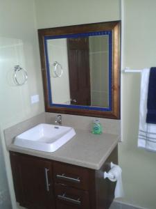 a bathroom with a sink and a mirror at Believe Caribbean Apartment in Bridgetown