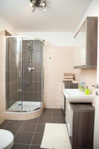 ein Bad mit einer Dusche und einem Waschbecken in der Unterkunft Haus Rosy Ferienwohnung in Stubenberg