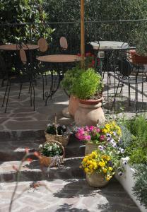 Zahrada ubytování B&B Le Giare