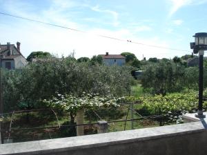 Zahrada ubytování Apartment Tijano