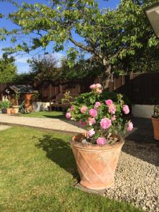 a large pot of pink flowers in a yard at The Engine Shed in Weston-super-Mare