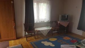 a living room with a tv and a table and a rug at Pension Zamolxe in Sarmizegetusa