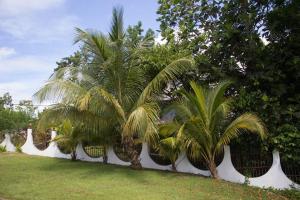 a row of palm trees next to a white fence at Cavernas Guest House in Quebrada