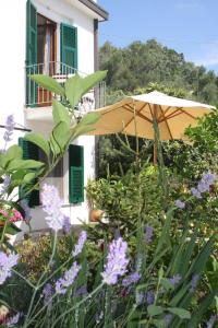 an umbrella in a garden with purple flowers at B&B Le Giare in Monterosso al Mare