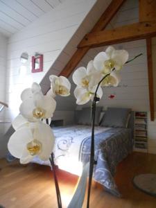 Gallery image of Chambre d'Hotes Les Hortensias in Rang-du-Fliers