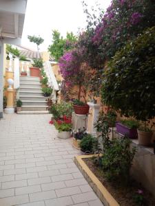 a garden with flowers and plants and stairs at Domos Le Due Tuie in Piscinas