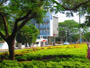 un parque verde con un árbol y un edificio en Hausen Hotel - Suites, en Montería