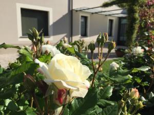 Zahrada ubytování B&B Cascina Sagrestia