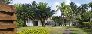 a house with palm trees in front of it at Sunset Quay in Rarotonga