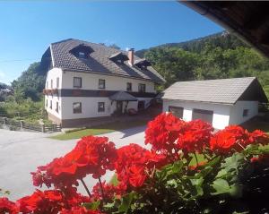a house with red flowers in front of it at Apartmaji Pr Potovcnk in Dovje