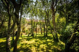 Vườn quanh Villa Borgo Duino