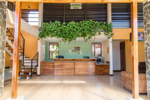 a plant hanging over a counter in a building at Nacazcol - Playas del Coco in Coco