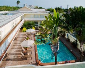 an overhead view of a hotel pool with umbrellas at Ocean Lodge in Boca Raton +21 photos