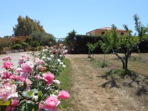 Giardino di Bed and breakfast Le Camelie