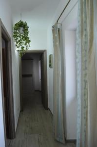 Fotografia z galérie ubytovania Appartamento Vacanza da Luisa v destinácii San Giovanni Suèrgiu