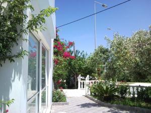 Zahrada ubytování Hotel Apollon