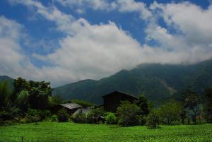 a house in a field with mountains in the background at Walk Cloud Bed and Breakfast in Meishan